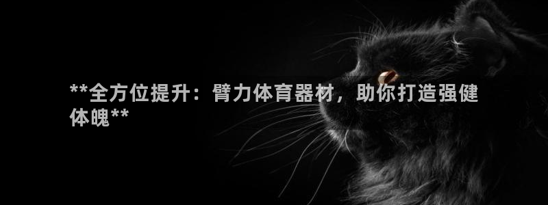 富联娱乐平台开户:**全方位提升:臂力体育器材,助你打造强健