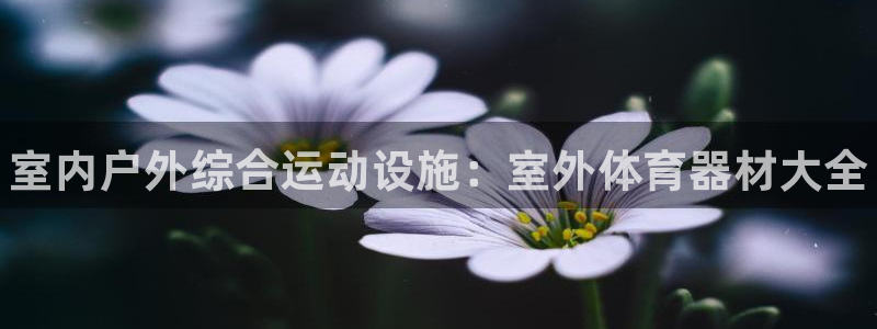 富联娱乐心 5o69I7:室内户外综合运动设施:室外体育器材